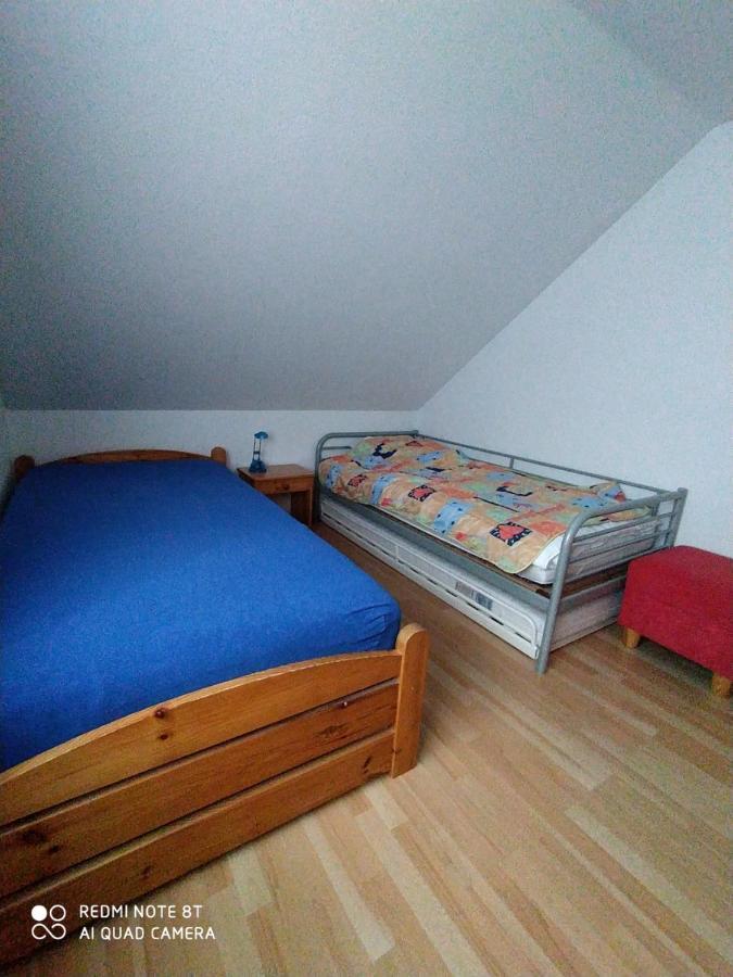 Ferienwohnung Haus Rosa Nüdlingen Dış mekan fotoğraf